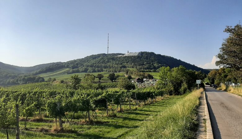 Kahlenberg Slider