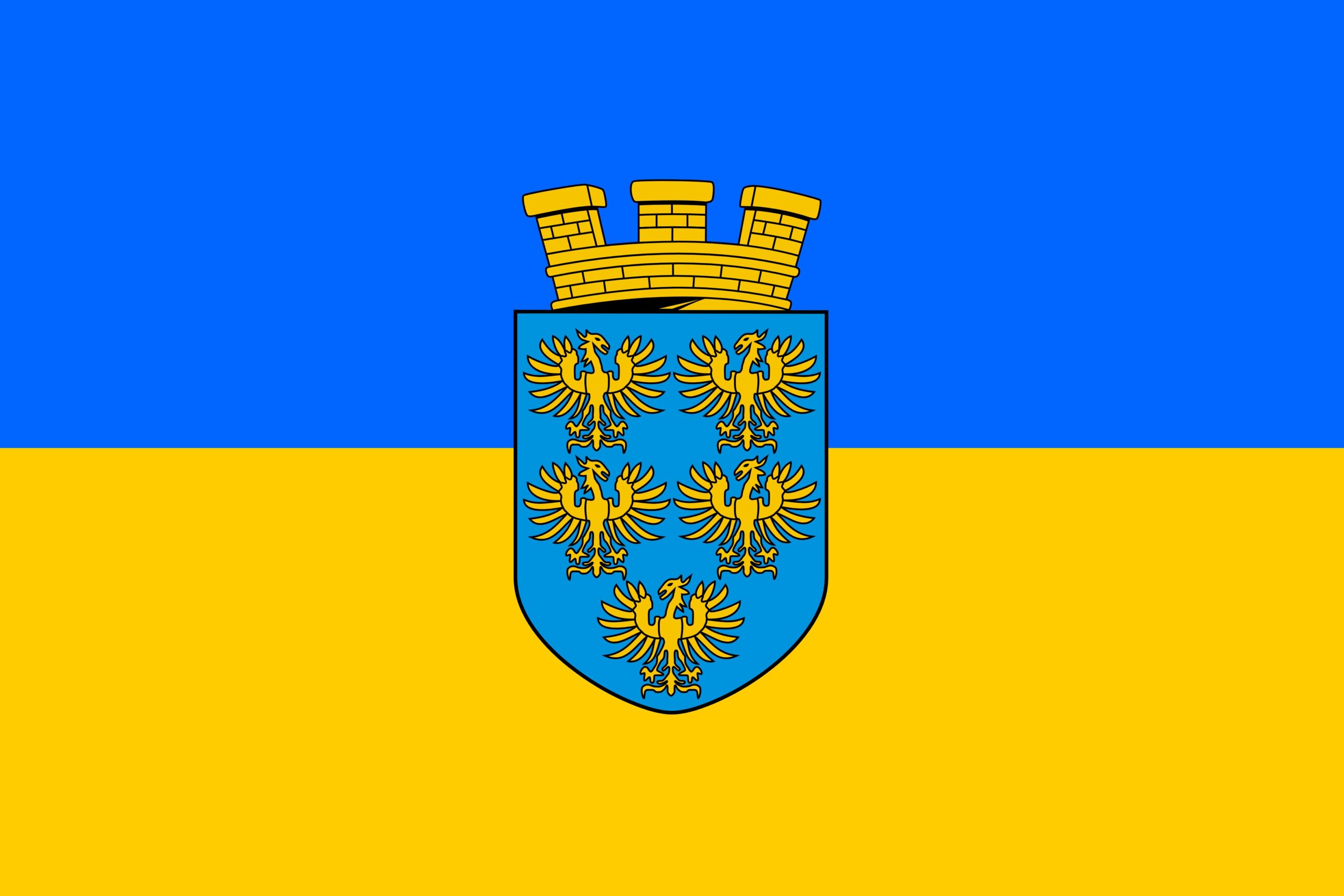 Lower Austria flag