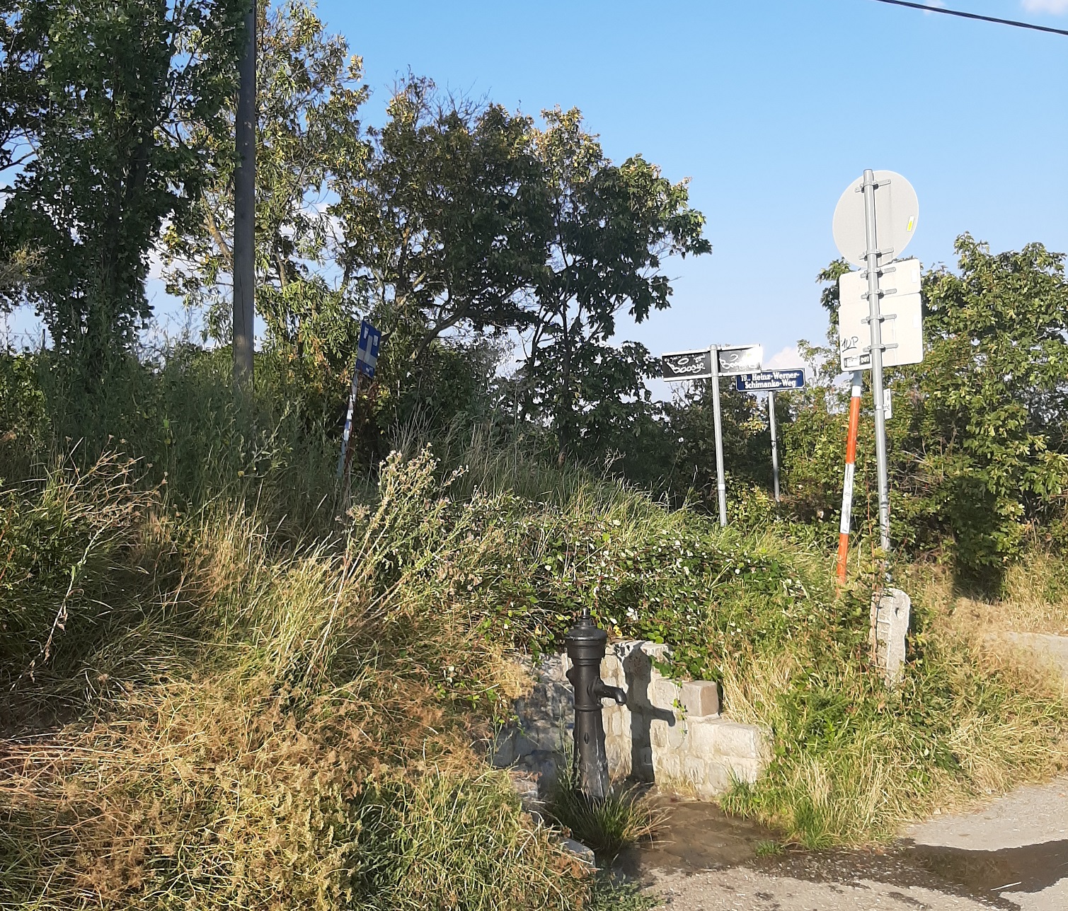 Water Hydrant - Kahlenberg