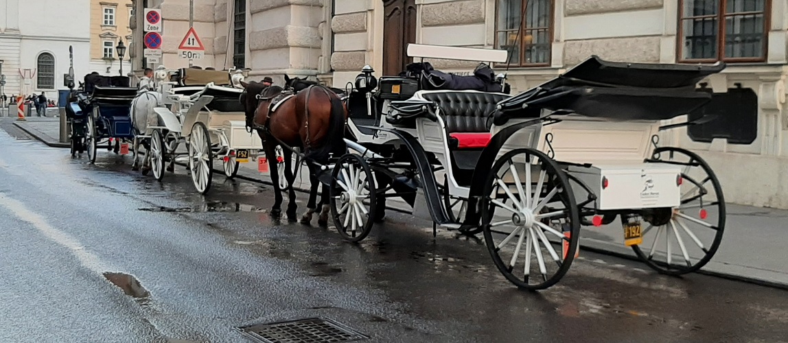 2002 Horse-drawn carriage tours