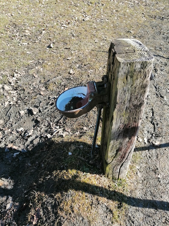 2004 Mountain Water tap for cattle (cows)