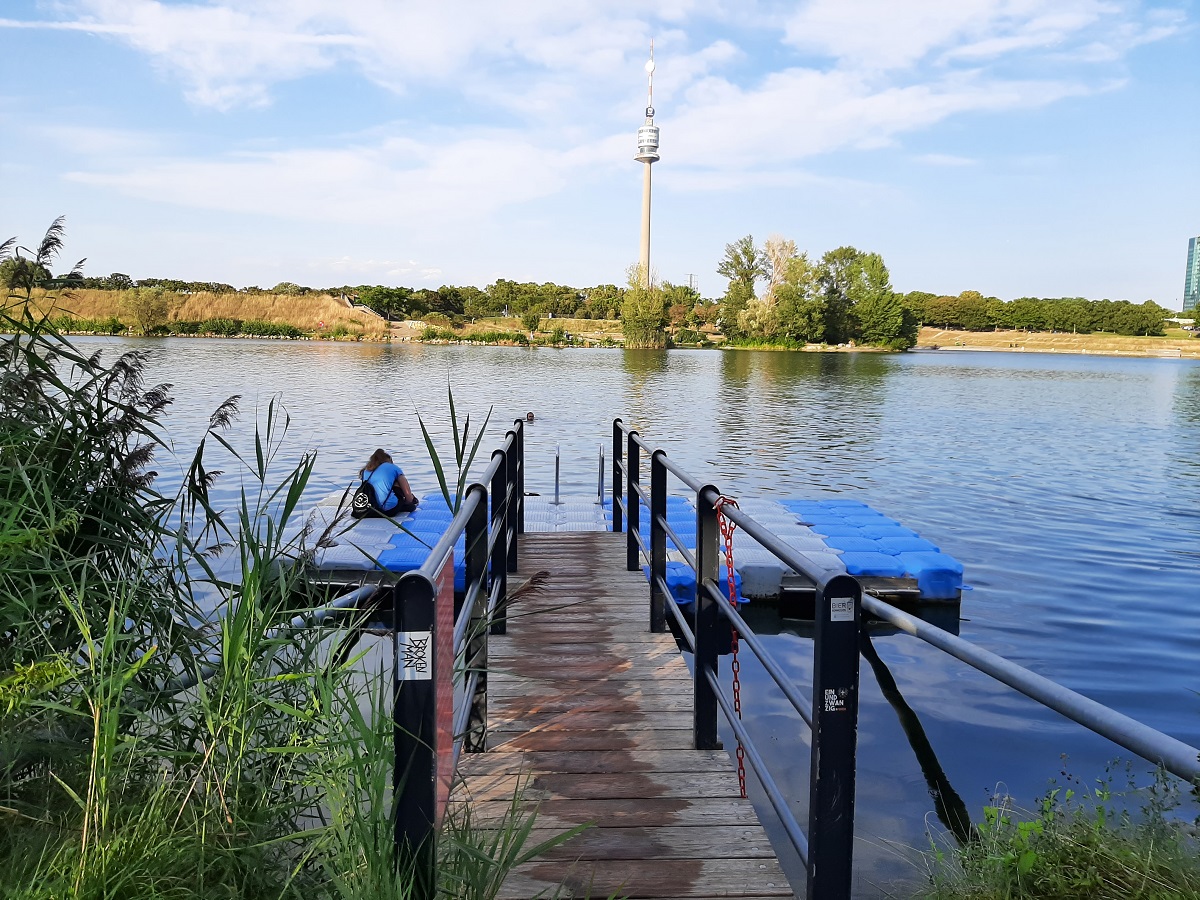 4001 Swimming Danube