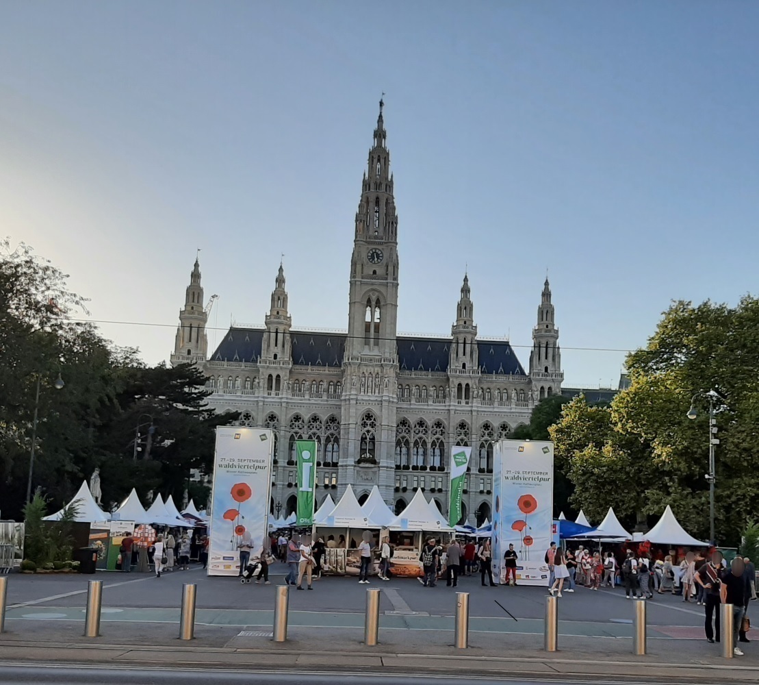 1001 Vienna City Hall (Rathaus) - Blured