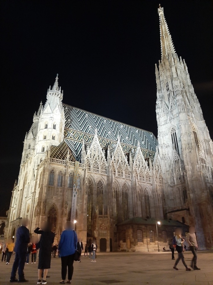 1004 Stephen's Cathedral (Stephansdom) - Blured